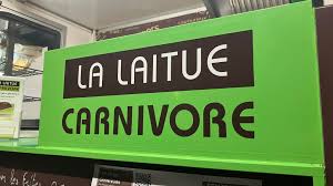 LA LAITUE CARNIVORE